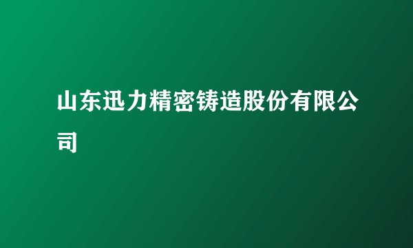 山东迅力精密铸造股份有限公司