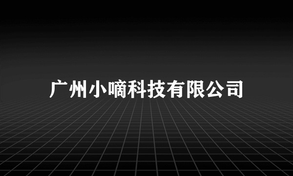 广州小嘀科技有限公司
