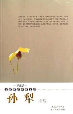 孙犁小说（2006年吉林文史出版社出版的图书）