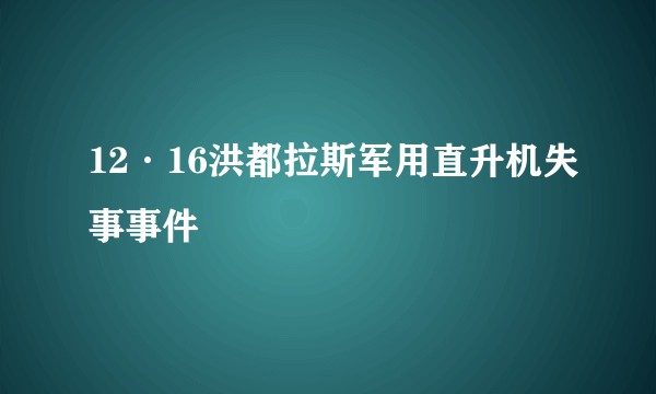 12·16洪都拉斯军用直升机失事事件