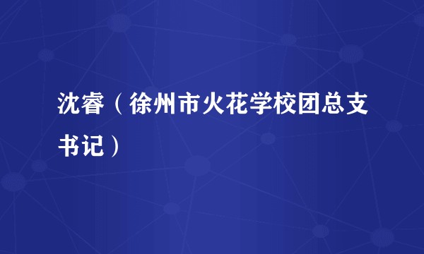 沈睿（徐州市火花学校团总支书记）