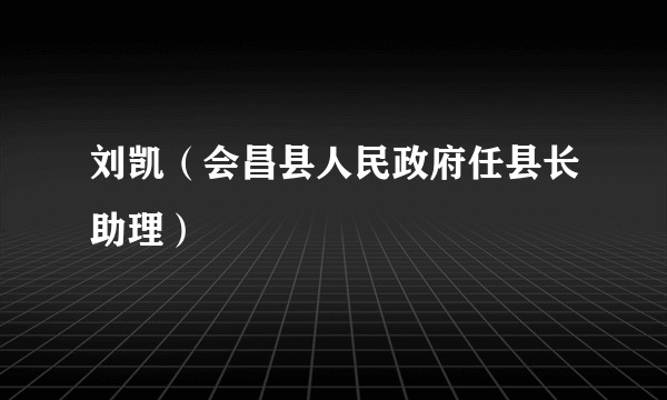 刘凯（会昌县人民政府任县长助理）