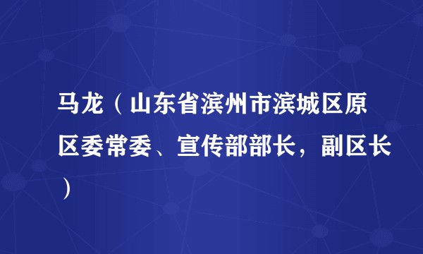马龙(山东省滨州市滨城区原区委常委、宣传部部长,副区长)