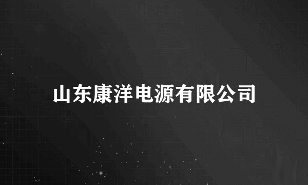 山东康洋电源有限公司