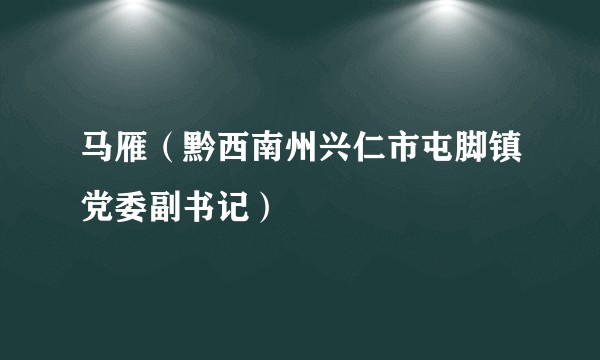马雁（黔西南州兴仁市屯脚镇党委副书记）
