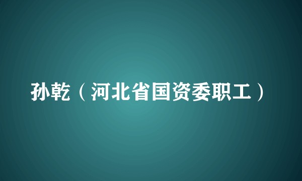 孙乾（河北省国资委职工）