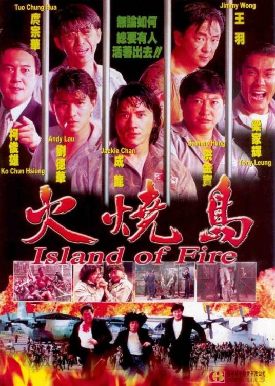 火烧岛（1991年朱延平执导的动作片）