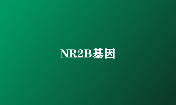 NR2B基因