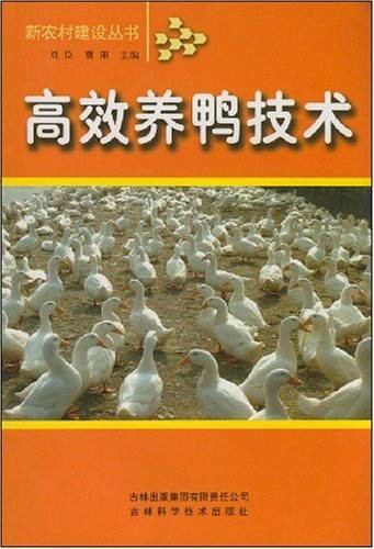 高效养鸭技术