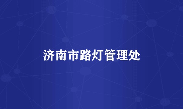 济南市路灯管理处