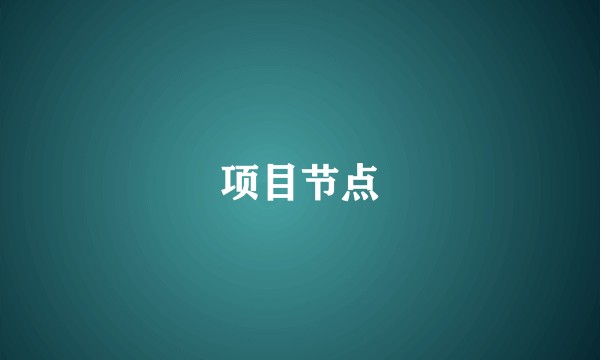项目节点