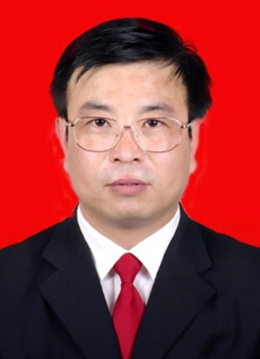 张红林（陕西省渭南市大荔县人大常委会主任）