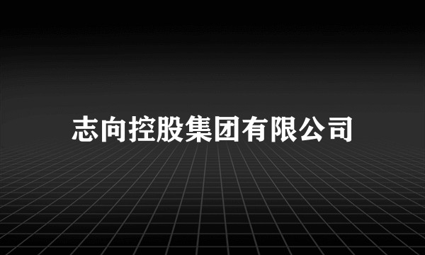 志向控股集团有限公司