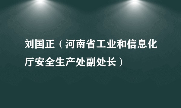 刘国正（河南省工业和信息化厅安全生产处副处长）