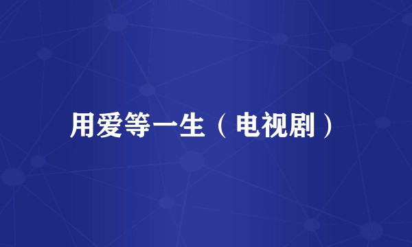 用爱等一生（电视剧）