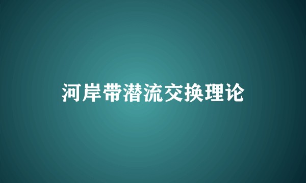 河岸带潜流交换理论