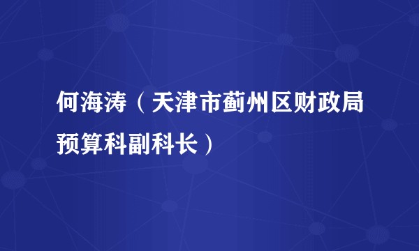 何海涛（天津市蓟州区财政局预算科副科长）