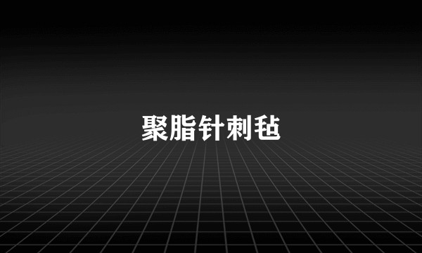 聚脂针刺毡