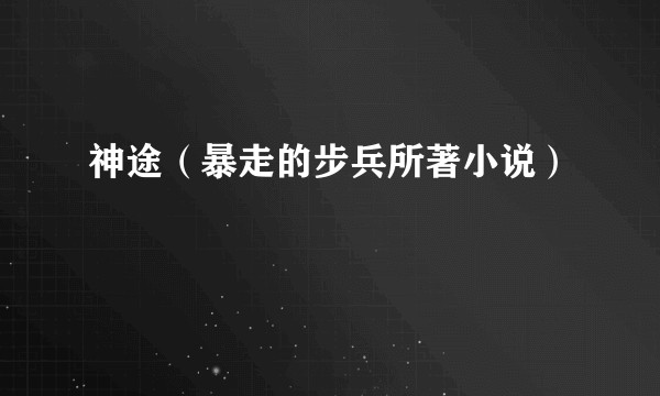 神途（暴走的步兵所著小说）