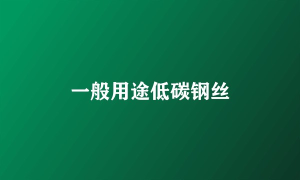 一般用途低碳钢丝