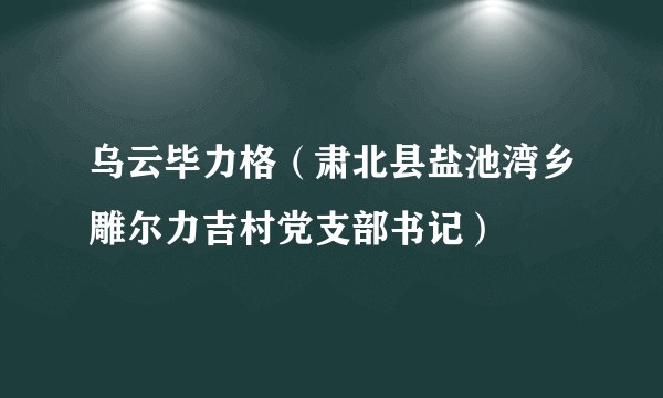 乌云毕力格（肃北县盐池湾乡雕尔力吉村党支部书记）