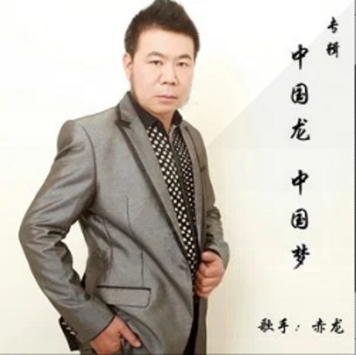 你的温柔给了谁（赤龙演唱的歌曲）