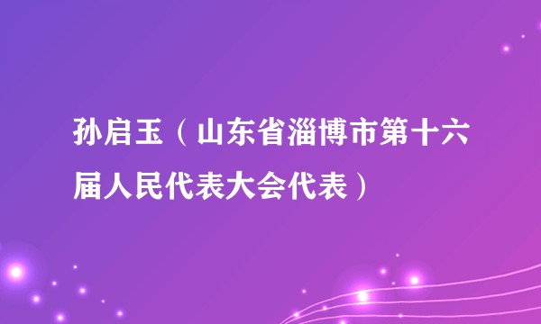孙启玉（山东省淄博市第十六届人民代表大会代表）