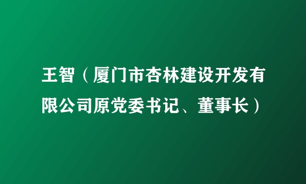王智（厦门市杏林建设开发有限公司原党委书记、董事长）