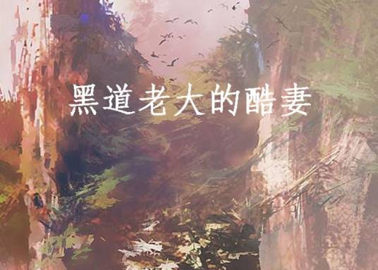 黑道老大的酷妻