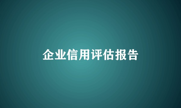 企业信用评估报告