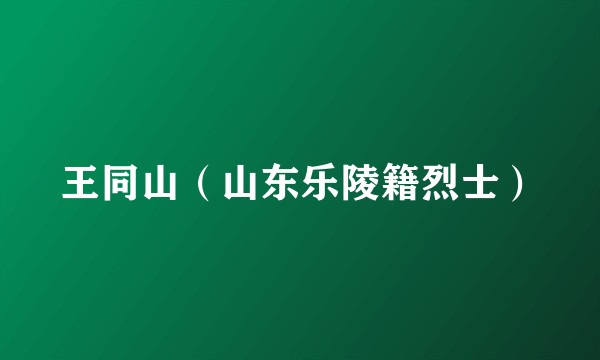 王同山（山东乐陵籍烈士）