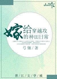 嫁给穿越攻的种田日常