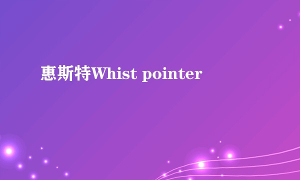 惠斯特Whist pointer