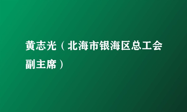 黄志光（北海市银海区总工会副主席）