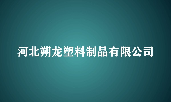 河北朔龙塑料制品有限公司