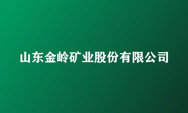 山东金岭矿业股份有限公司