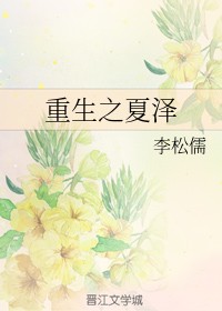 重生之夏泽