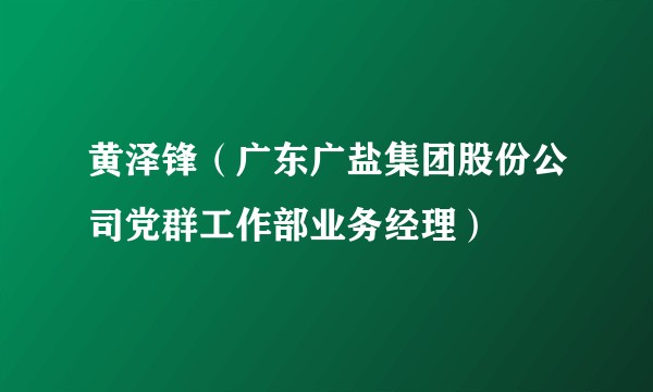 黄泽锋（广东广盐集团股份公司党群工作部业务经理）