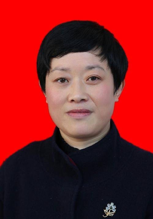 李巧云（湖南省武冈市委常委、宣传部部长）