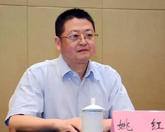 姚红(中共重庆市委党史研究室主任)