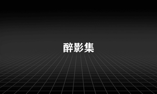 醉影集