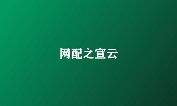 网配之宣云