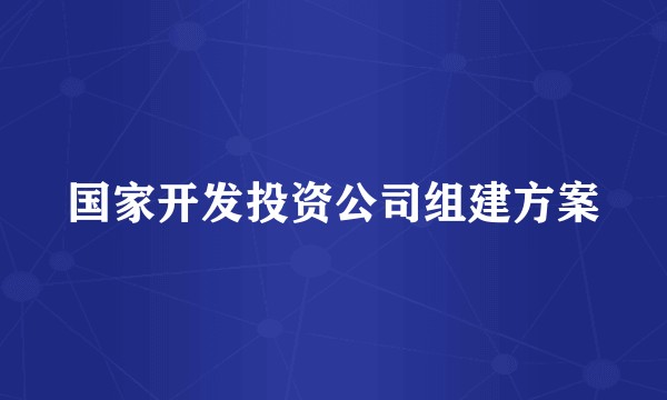 国家开发投资公司组建方案