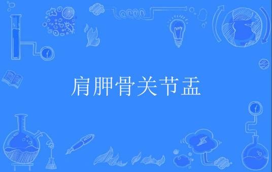 肩胛骨关节盂