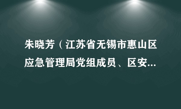 朱晓芳（江苏省无锡市惠山区应急管理局党组成员、区安委办专职副主任）