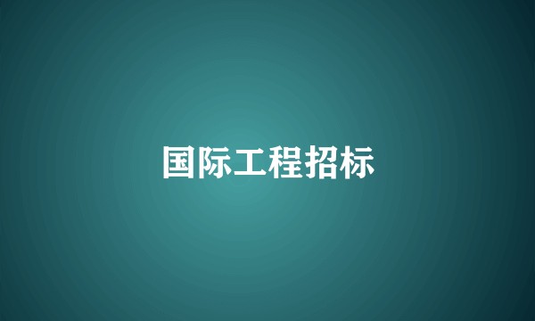 国际工程招标