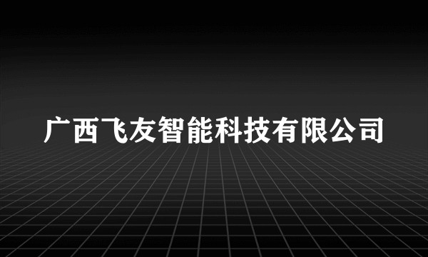 广西飞友智能科技有限公司