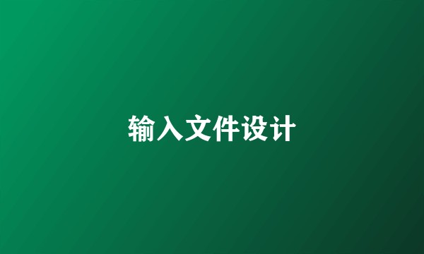 输入文件设计