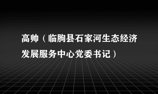 高帅（临朐县石家河生态经济发展服务中心党委书记）