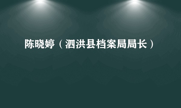 陈晓婷（泗洪县档案局局长）